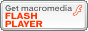 Baixe o Flash Player